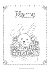 Free colouring Flowers Rabbit Animal Envelope Forest animals