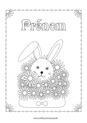 Coloriage gratuit Fleurs Lapin Animal Enveloppe Animaux de la forêt