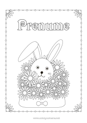 Pagină de colorat personalizată Flori Iepure Animal Plic Animale din pădure