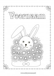 Gratis tekening Bloemen Konijn Dier Envelop Bosdieren