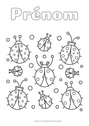 Coloriage à personnaliser Animal Coccinelle Coloriages faciles Insectes