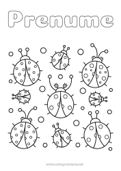 Desen liber de colorat Animal Gărgăriță Desene de colorat ușoare Insecte