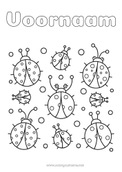 Kleurplaat aanpassen Dier Lieveheersbeestje Eenvoudige kleurplaten Insecten
