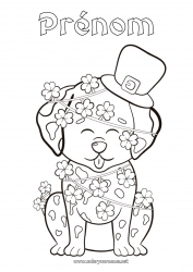 Coloriage gratuit Chien Animal Trèfle Fête de la Saint Patrick Chapeau Chiens et chats