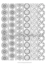 Färgläggningssida för barn Blommor Marguerite Komplexa målarbilder