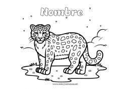 Colorear gratis Nieve Animales Leopardo Animales salvajes de África Pantera