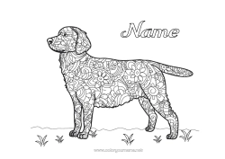 Free drawing Dog Complex coloring pages Zentangle Dog and cat