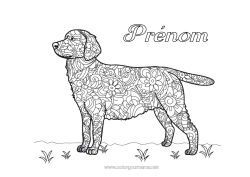 Coloriage gratuit Chien Coloriages complexes Zentangle Chiens et chats