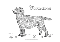 Kostenlose Zeichnung Hund Tier Komplexe Ausmalbilder Zentangle Hunde und Katzen