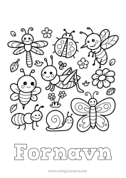 Gratis tegning Kawaii Sommerfugl Dyr Snegl Flue Marihøne Myre Insekter Myg Cikade