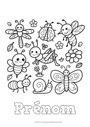 Coloriage à personnaliser Kawaii Papillon Animal Escargot Mouche Coccinelle Fourmi Insectes Moustique Cigale