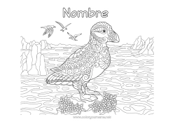 Colorear gratis Pájaro Mar Zentangle Aves y mamíferos voladores Frailecillo