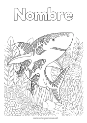 Dibujo libre Mar Animales Dibujos complejos para colorear Tiburón Zentangle Animales marinos o acuáticos