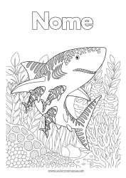 Disegno gratuito Mare Animale Colorazioni complesse Squalo Zentangle Animali marini o acquatici