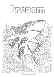 Coloriage à personnaliser Mer Coloriages complexes Requin Zentangle Animaux marins ou aquatique