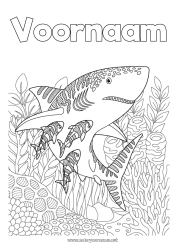 Gratis tekening Zee Dier Complex Kleurplaten Haai Zentangle Zeedieren