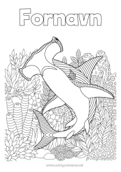 Farvelægningssiden tilpasning Hav Dyr Komplekse farvelægninger Haj Zentangle Havdyr eller vandlevende dyr Hammerhaj