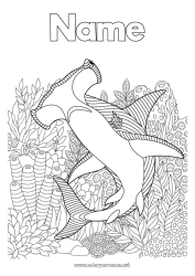 Free drawing Sea Animal Complex coloring pages Shark Zentangle Marine or aquatic animals Hammerhead Shark