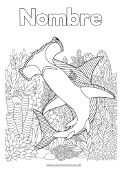 Colorear para personalizar Mar Dibujos complejos para colorear Tiburón Zentangle Animales marinos o acuáticos Tiburón Martillo