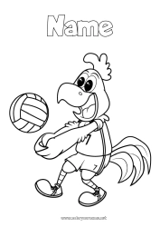 Free coloring Sport Animal Rooster Farm animals Volleyball Team sports Cartoon