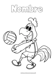 Dibujo libre Sport Animales Gallo Animales de granja Vóleibol Deportes en equipo Cartoon