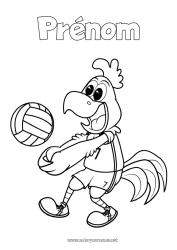 Coloriage gratuit Sport Animal Coq Animaux de la ferme Volley ball Sports d'équipe Cartoon