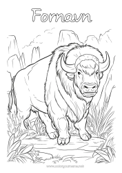 Fargeleggingssiden å tilpasse Dyr Andre dyr i verden Bison