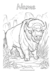 Coloring to customize Animal Other animals of the world Bison
