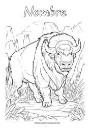 Dibujo libre Animales Otros animales del mundo Bisonte