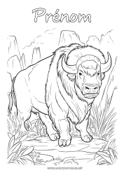 Coloriage gratuit Animal Autres animaux du monde Bison