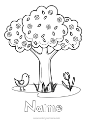 Colouring to customise Flowers Bird Spring Tree Tulip Birds And Flying Mammals