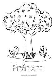 Coloriage gratuit Oiseau Printemps Arbre Tulipe Oiseaux et mammifères volants