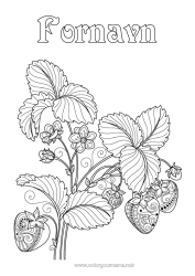 Fargeleggingssiden å tilpasse Frukter Komplekse fargelegginger Jordbær Zentangle