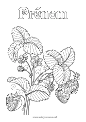 Coloriage gratuit Fruits Coloriages complexes Fraise Zentangle