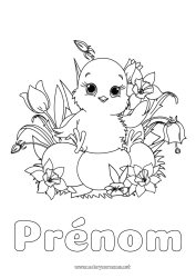 Coloriage gratuit Fleurs Printemps Poussin Animal Oeufs de Pâques Pâques Jonquilles Tulipe Animaux de la ferme