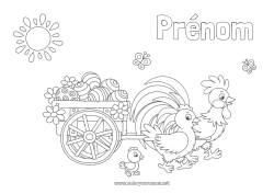 Coloriage gratuit Poule Printemps Poussin Animal Coq Oeufs de Pâques Pâques Animaux de la ferme