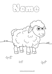 Free coloring Sheep Spring Animal Farm animals Lamb