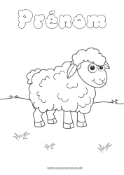 Coloriage gratuit Mouton Printemps Animal Animaux de la ferme Agneau