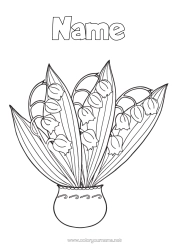 Free colouring Flowers Spring Lily of the valley 1st May Bunch