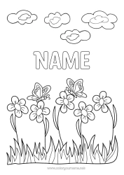 Free colouring Flowers Summer Spring Butterfly Animal Insects