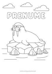 Desen liber de colorat Animal Focă Animale marine sau acvatice Morse Ochelari