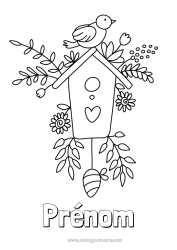 Coloriage gratuit Fleurs Oiseau Printemps Animal Oiseaux et mammifères volants Nichoir à Oiseaux