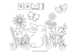 Disegno gratuito Fiori Coniglio Farfalla Animale Insetti Animali della foresta