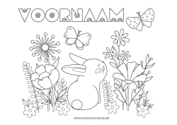 Gratis kleurplaat Bloemen Konijn Vlinder Dier Insecten Bosdieren
