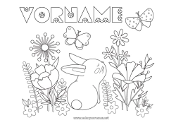 Kostenlose Zeichnung Blumen Hase Schmetterling Tier Insekten Waldtiere