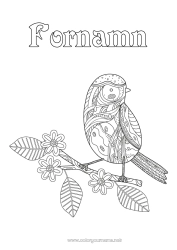 Gratis färgläggning Fågel Djur Zentangle Fåglar och flygande däggdjur