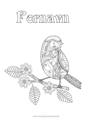 Gratis farvelægning Fugl Dyr Zentangle Fugle og flyvende pattedyr