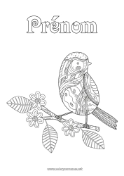 Coloriage gratuit Oiseau Animal Zentangle Oiseaux et mammifères volants