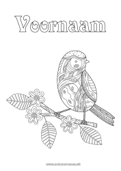 Gratis kleurplaat Vogel Dier Zentangle Vogels en vliegende zoogdieren