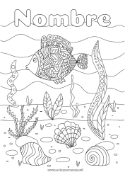 Dibujo libre Mar Animales Pescado Conchas marinas Animales marinos o acuáticos